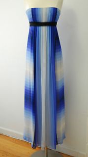 Beautiful BCBG Max Azria Ombre Long Dress/Gown