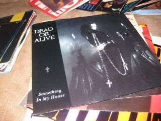 Dead or Alive; Something In My House 45 + Pic Sleeve