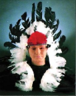 Indian Native American Feather Headdress Feathered Adult Costume