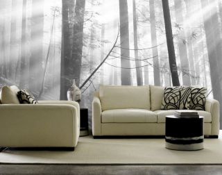 Old Forest Black & White Wall Mural 15wide by 9high