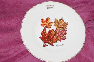 Nice 9 Old Montreal Canada Collector Plate with Maple Leaves Creemore