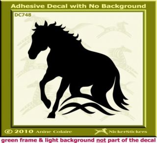 Dun Buckskin Quarter Horse Trailer Decal Sticker 486