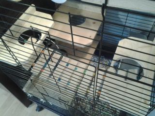 small pet cages