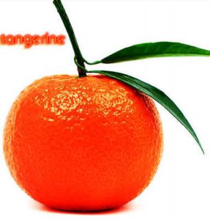 20 TANGERINE Mandarin Orange Citrus Fruit Tree Seeds