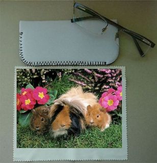 guinea pig glass case and glass cleaning cloth by colglyn