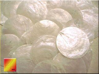 100 Capiz Shells 2 Round Two Holes Seashells Craft Free US Shipping