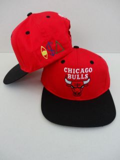 CHICAGO BULLS TISA SNAPBACK CAP JORDAN PIPPEN TI$A HAT