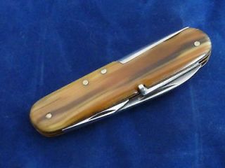 Solingen Pocket Knife by Ern, Celluloid Handles, Eight Blades