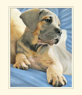 CANE CORSO PUPPY   OIL PAINTING