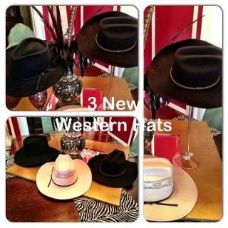 Of 3 Western Hats By Crazy Horse, Wrangler, And Peter Bros New