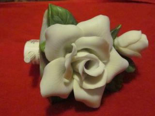 Ceramic White Rose Night Light 4 1/2 in T x 4in W