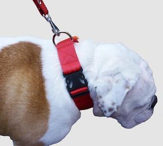 Nylon Webbing Dog Collar 17 27.5 neck size Newfoundland Great Dane