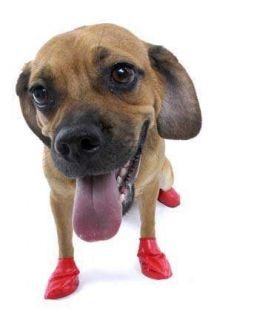 PAWZ Dog Boots 12 Waterproof Reusable Dog Shoes XLARGE