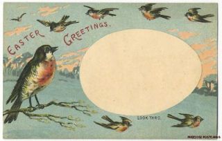 HTL Hold To Light EASTER BIRDS   PARROT & DUCKS APPEAR In EGG ca1910
