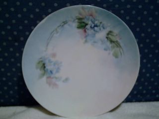 Silesia Hand Painted Blue Floral 6 Porcelain Plate