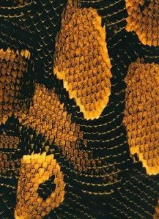 Gold Snake Skin Water Transfer Printing Hydrographic Film Camo Design