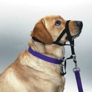 HALTI NO PULL HEADCOLLAR HARNESS for DOGS   All sizes FREE SHIP in US