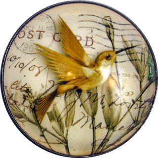 Beautiful Crystal Dome Button Hummingbird & Postcard 1 & 3/8 HBIRD 06
