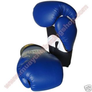 Top King Boxing Gloves Air TKBGAV 142 Blue 14 Oz.