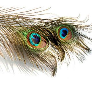 Accessory DIY 10 Peacock Eye Tail Feather For Masquerade Decoration