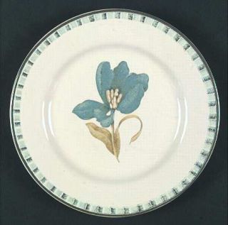 International Tulips Salad Plate, Fine China Dinnerware   Ribbed Border,Floral C
