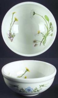 Portmeirion QueenS Hidden Garden, The Individual Salad Bowl, Fine China Dinnerw