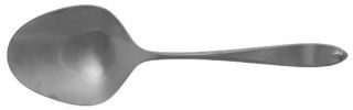 International Silver Ashford (Stainless) Solid Smooth Casserole Spoon   Stainles