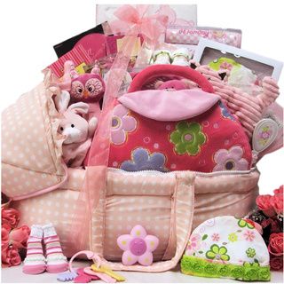 Best Wishes Baby Girl Gift Basket (PinkGender: GirlPlush head/neck pillow for travelingHeart brush and combSqueaker rattleBear applique bootiesVinyl lined cotton bibDouble layered super soft plush bumpy blanket measuring 26 inches high x 31 inches wideMus