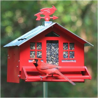 Perky Pet Squirrel Be Gone Country Style Bird Feeder Multicolor   338