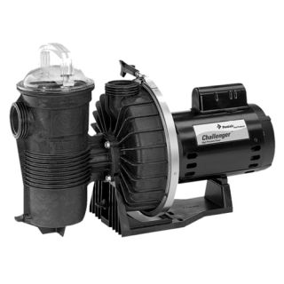 Pentair 346204 Challenger 115/230V SingleSpeed High Pressure Pool Pump, 1.0 HP UP Rated